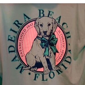 Surf Style Women's Large Madeira Beach Florida Lightweight Dog Hoodie, Baby Blue